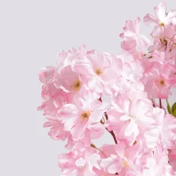 Arbre à Fleurs De Cerisier Artificiel Avec Socle, 180 Cm-DecoWoerner Outlet
