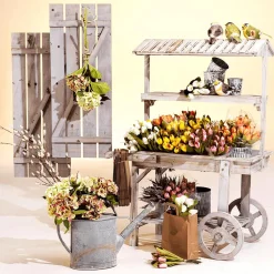 Arrosoir Déco-DecoWoerner Discount