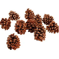 Articles à Parsemer Pommes De Pin, 10 Pces-DecoWoerner