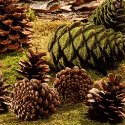 Articles à Parsemer Pommes De Pin, Environ 50 Pièces-DecoWoerner Outlet