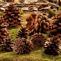 Articles à Parsemer Pommes De Pin, Environ 50 Pièces-DecoWoerner Outlet