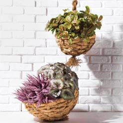 Artificiel Buisson De Marantea, 30 Cm-DecoWoerner New