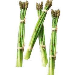 Asperge e Aliment Factice, Paquet De 4 Pièces-DecoWoerner Hot