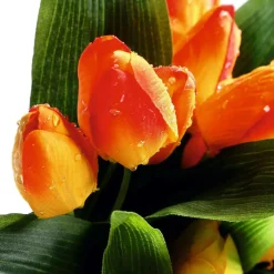 Assortiment Bouquet De Tulipes Artificiel-DecoWoerner Best