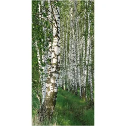 Bannière En Tissu De Fibres Naturelles Résistant à La Lumière "Forêt De Bouleaux" En Coton 100 X 200 Cm-DecoWoerner Clearance