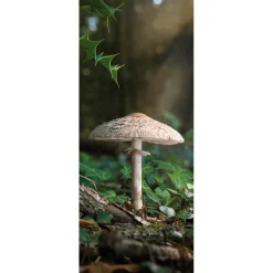 Bannière En Tissu Difficilement Inflammable "Grand Champignon" En Tissu Pour Drapeau 75 X 180 Cm-DecoWoerner New