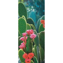 Bannière En Tissu Ignífuga "cactus En Fleurs" En Tissu Pour Drapeau 75 X 180 Cm-DecoWoerner Discount