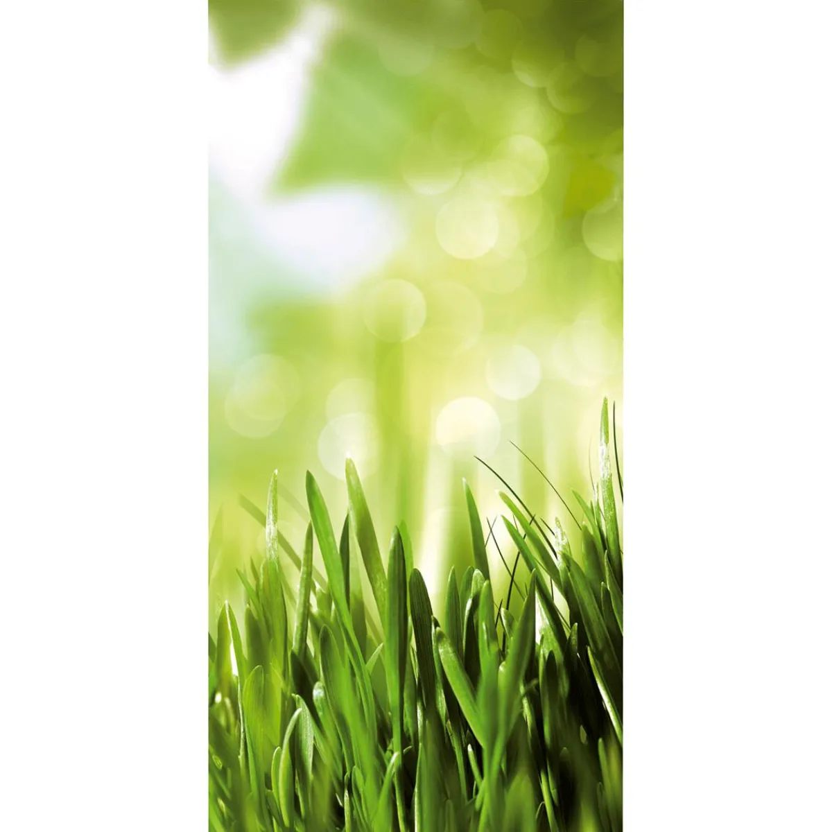 Bannière En Tissu Ignifugé "herbe De Printemps" En Tissu Pour Drapeau 100 X 200 Cm-DecoWoerner New