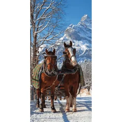 Bannière En Tissu Ignifugé "Carrosse De Chevaux Dans La Neige" En Tissu Pour Drapeau 100 X 200 Cm-DecoWoerner Best