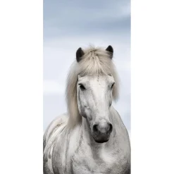Bannière En Tissu Ignifugé "cheval Islandais" En Tissu Pour Drapeau 100 X 200 Cm-DecoWoerner Online