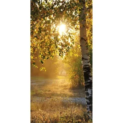 Bannière En Tissu Ignifugé "Bouleaux D'automne" En Tissu Pour Drapeau 100 X 200 Cm-DecoWoerner Online