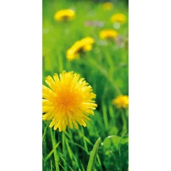 Bannière En Tissu Ignifugé "pissenlit " En Tissu Pour Drapeau 100 X 200 Cm-DecoWoerner Discount