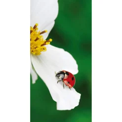 Bannière En Tissu Ignifugé "Coccinelle Sur Fleur Blanche" En Tissu Pour Drapeau 100 X 200 Cm-DecoWoerner Best