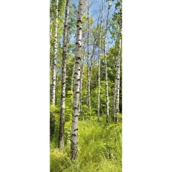 Bannière En Tissu Ignifugé "Forêt De Bouleaux Au Printemps" En Tissu Pour Drapeau 75 X 180 Cm-DecoWoerner Hot