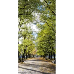 Bannière En Tissu Ignifugé "Allee Im Park" En Tissu Pour Drapeau 100 X 200 Cm-DecoWoerner New