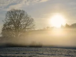 Bannière XXL "Brouillard D'hiver" En Bâche De Camion Difficilement Inflammable 250 X 330 Cm-DecoWoerner Online