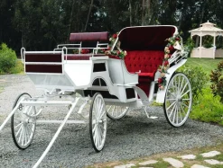 Bannière XXL "carrosse De Mariage" En Bâche De Camion Ignifugée 250 X 330 Cm-DecoWoerner