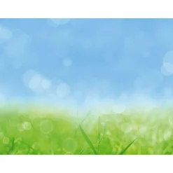 Bannière XXL "herbe De Printemps" En Bâche De Camion Difficilement Inflammable 250 X 330 Cm-DecoWoerner Hot