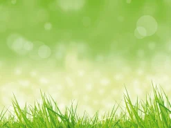 Bannière XXL "herbe De Printemps" En Bâche De Camion Ignifuge 300 X 400 Cm-DecoWoerner