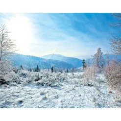 Bannière XXL "Paysage Hivernal" En Bâche De Camion Difficilement Inflammable 250 X 330 Cm-DecoWoerner New