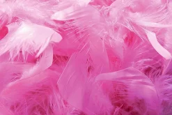 Boa De Plumes, , 180 Cm-DecoWoerner Clearance