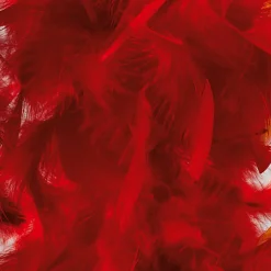 Boa De Plumes, , 180 Cm-DecoWoerner New
