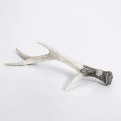 Bois De Cerf Décoratifs 32 X 9 X 19 Cm Marron (L X L X H)-DecoWoerner New