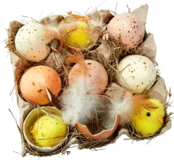 Boîte D’œufs Et De Poussins-DecoWoerner Online