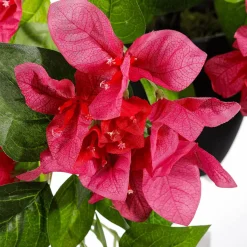 Bougainvilliers Suspendus - Fleur Artificielle En Pot 60 Cm-DecoWoerner Clearance