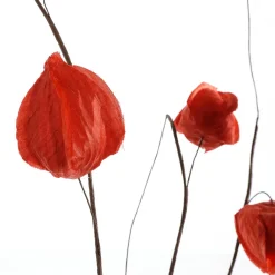 Branche Artificielle De Physalis, 80 Cm-DecoWoerner Online