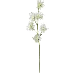 Branche Déco Infrutescence De Clématite 87 Cm-DecoWoerner Online