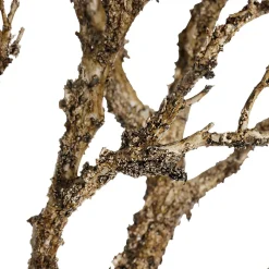 Branche Décorative Artificielle, Longueur 90 Cm, , Sans Feuilles-DecoWoerner Discount