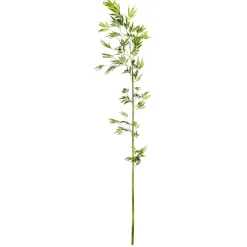 Branche De Bambou, 190 Cm-DecoWoerner Outlet