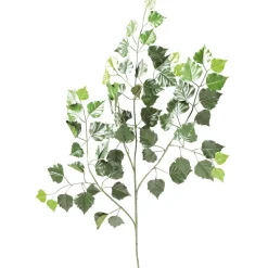 Branche De Bouleau Artificiel Peu 70 Cm, B1-DecoWoerner New