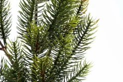 Branche De Sapin Artificielle, 66 Cm De Long-DecoWoerner Best