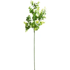 Branche D'eucalyptus Artificielle Long. 60 Cm-DecoWoerner Online