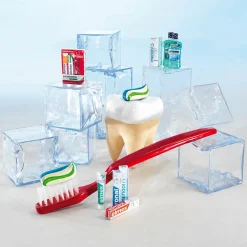Brosse à Dents Déco, e-DecoWoerner New