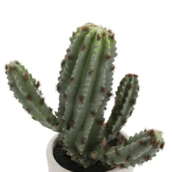Cactus Artificiel Décoratif 24 Cm En Plastique Injecté-DecoWoerner Hot