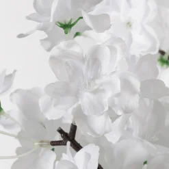 Cerisier à Fleurs, 200 Cm-DecoWoerner Best