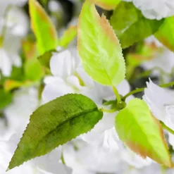 Cerisier à Fleurs Artificiel, 220 Cm-DecoWoerner