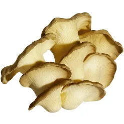 Champignons Aliment Factice 18 Cm-DecoWoerner Discount