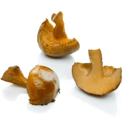 Champignons Grillés Coupés En Deux 3 Pièces Aliments Factices 5 Cm-DecoWoerner