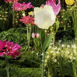Chaîne Lumineuse à Fil à LED Feu D’artifice Pour L’ext., 100 LED, 6 M-DecoWoerner Outlet