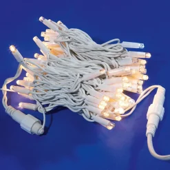 Chaîne Lumineuse De Raccordement Clignotante à LED Pour L'ext., 100 LED Chaudes, 10 M-DecoWoerner Hot