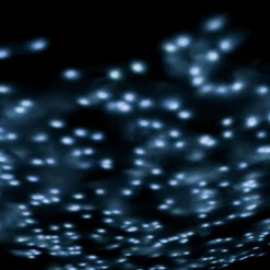 Chaîne Lumineuse LED Avec Minuterie, Pour L'extérieur, 6 M-DecoWoerner New
