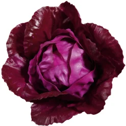 Chou Rouge Aliment Factice, Ø 13 Cm-DecoWoerner Best