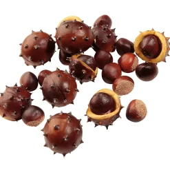 Châtaignes Déco, Ø 5 Cm, 22 Pces-DecoWoerner