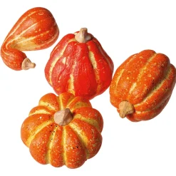 Citrouilles Décoratives, 11-14 Cm, 4 Pces-DecoWoerner New