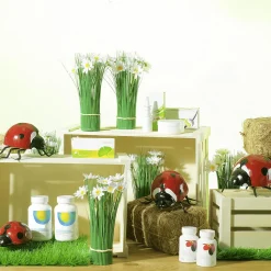 Coccinelle Déco, Long. 11 Cm-DecoWoerner Discount