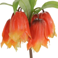 Couronne Impériale Artificielle Fritillaria Imperialis 110 Cm-DecoWoerner Outlet